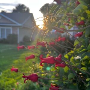 Meet your Posher, HDWJ🫶🏽